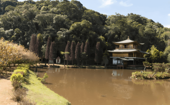 Natureza e Design: A Essência dos Móveis da Zogbi em Itapecerica da Serra, SP